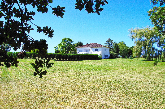 View from one of our fields